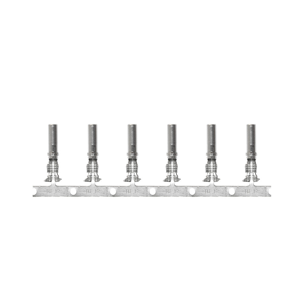 Pacer DTP Deutsch Socket f/10 AWG Wire - Size 12 Contact (10 Pack) [T10DTP-S-10]